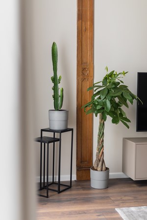 Foto 11-01-2021 13 53 59.jpg